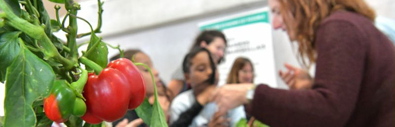 Soyez les bienvenus sur la plateforme POEM Soyez les bienvenus sur la plateforme POEM